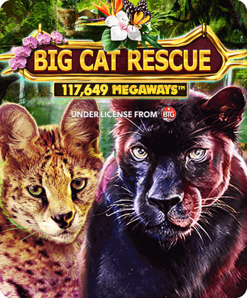 Big Cat Rescue Megaways